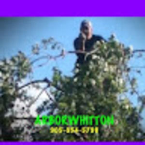 Meet your Posher, Darren